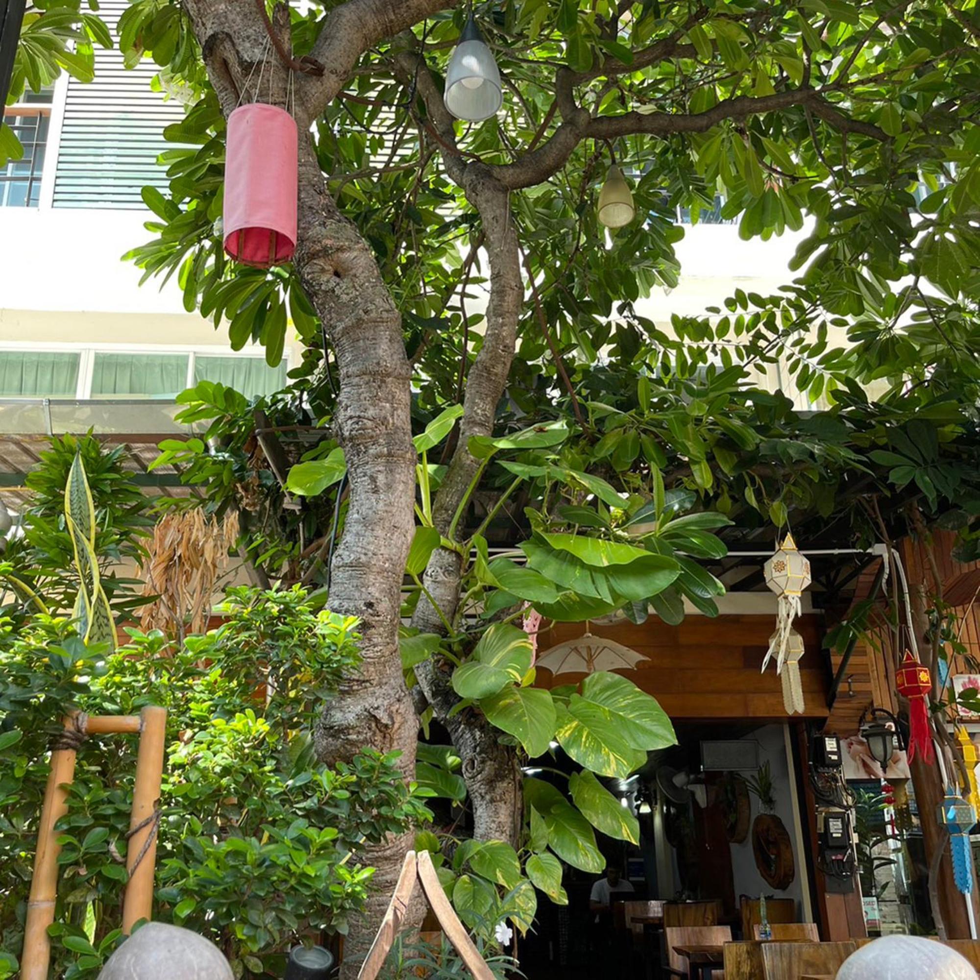 Bb House Budget & Boutique Chiang Mai Exteriör bild